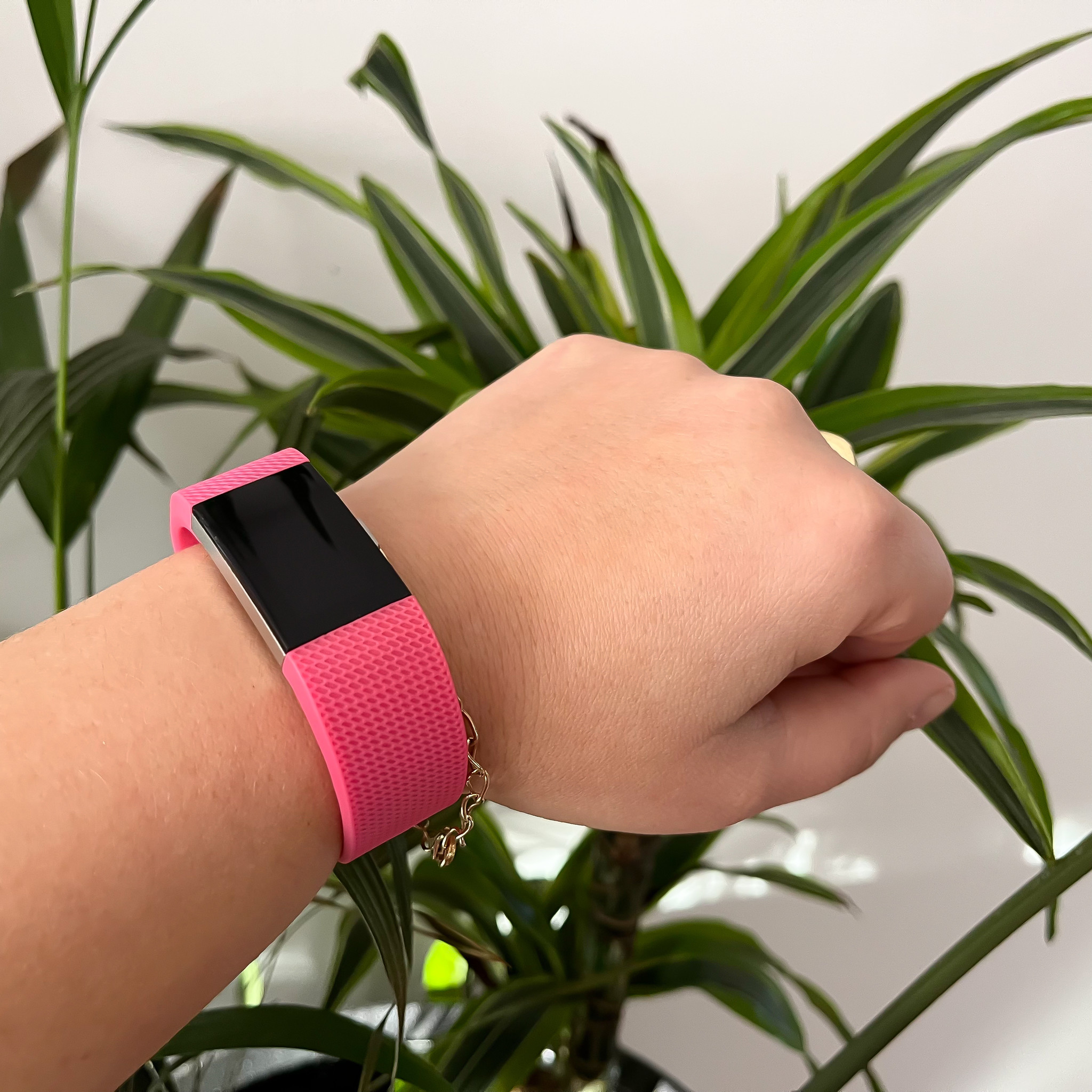 Fitbit Charge 2 Sport Strap - Pink
