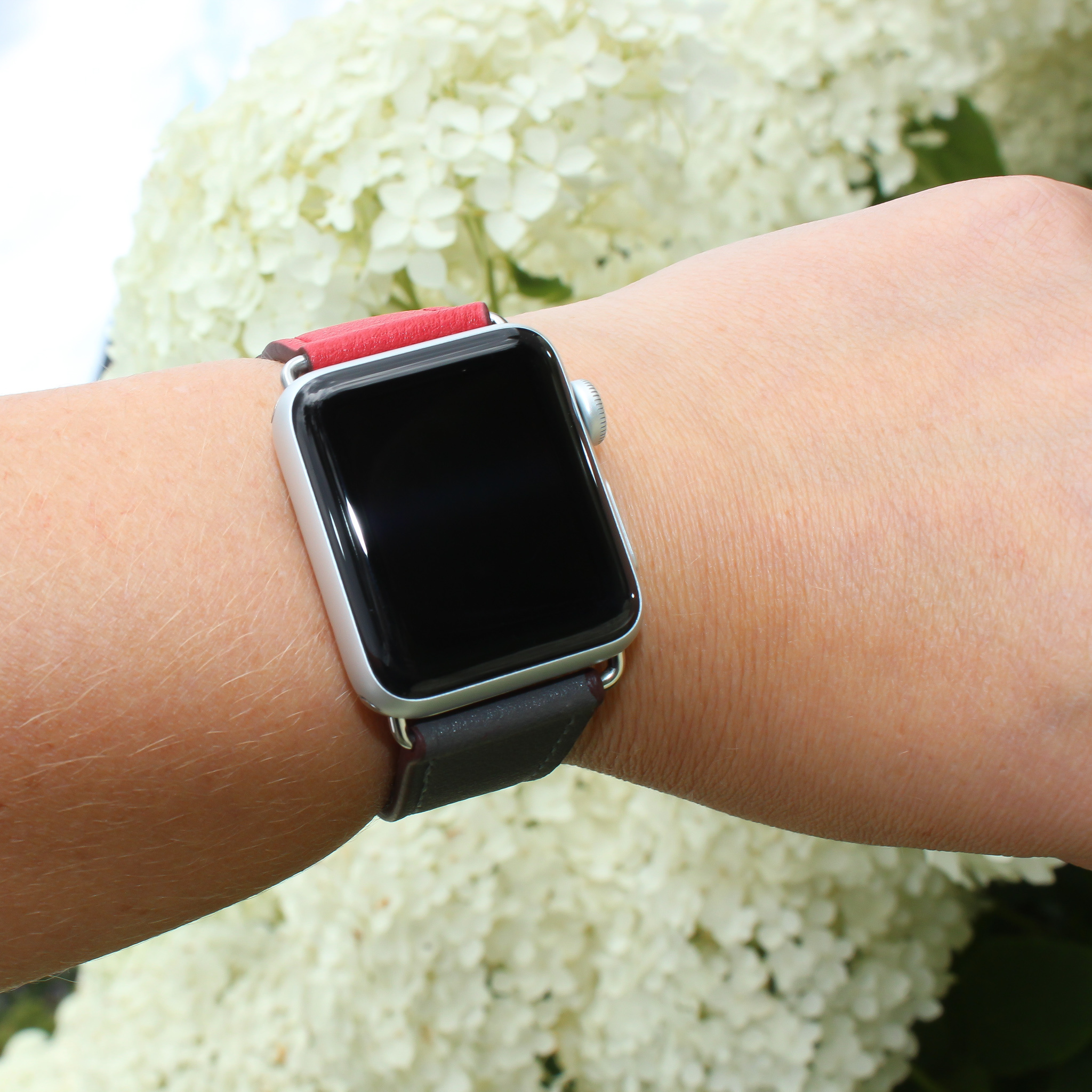 Apple Watch Leather Sing Tour - Red Grey